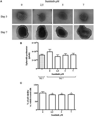 Evaluation of Spheroid 3D Culture Methods to Study a Pancreatic Neuroendocrine Neoplasm Cell Line
